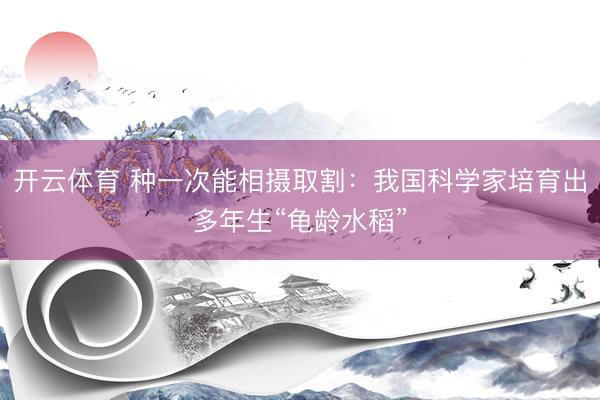开云体育 种一次能相摄取割：我国科学家培育出多年生“龟龄水稻”