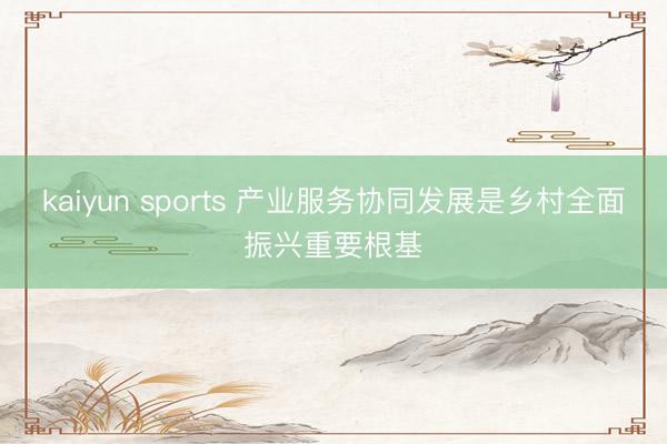 kaiyun sports 产业服务协同发展是乡村全面振兴重要根基